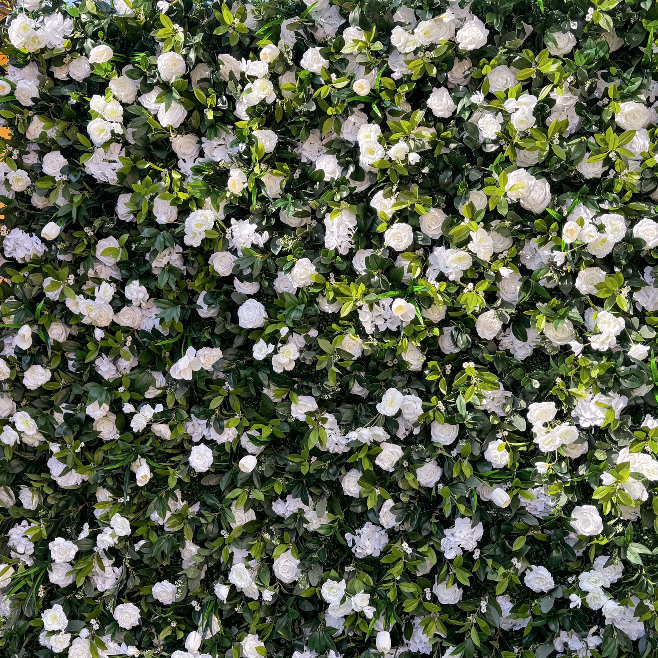 This is another close - up of a flower wall. Similar to the first, it features a thick arrangement of white roses and green leaves. The roses are numerous and well - spread, giving the wall a rich and opulent look. The green leaves are interspersed among the flowers, contributing to a vibrant and lively display.