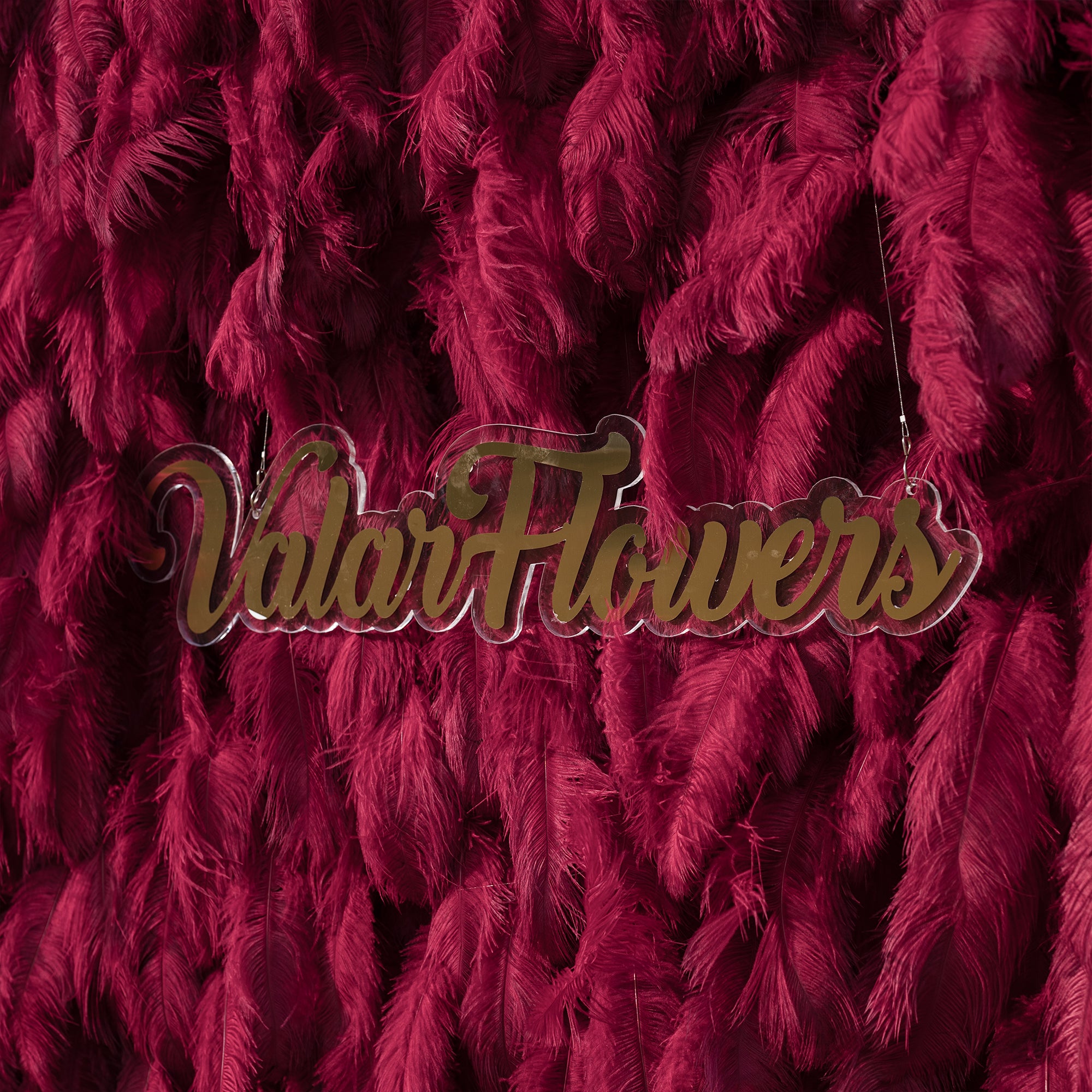 Burgundy Red Ostrich Feather Wall Backdrop - Roll-Up Fabric Wall - Bridal Party Decor - Wedding Venues Celebration Floral Wall-VF-964-5