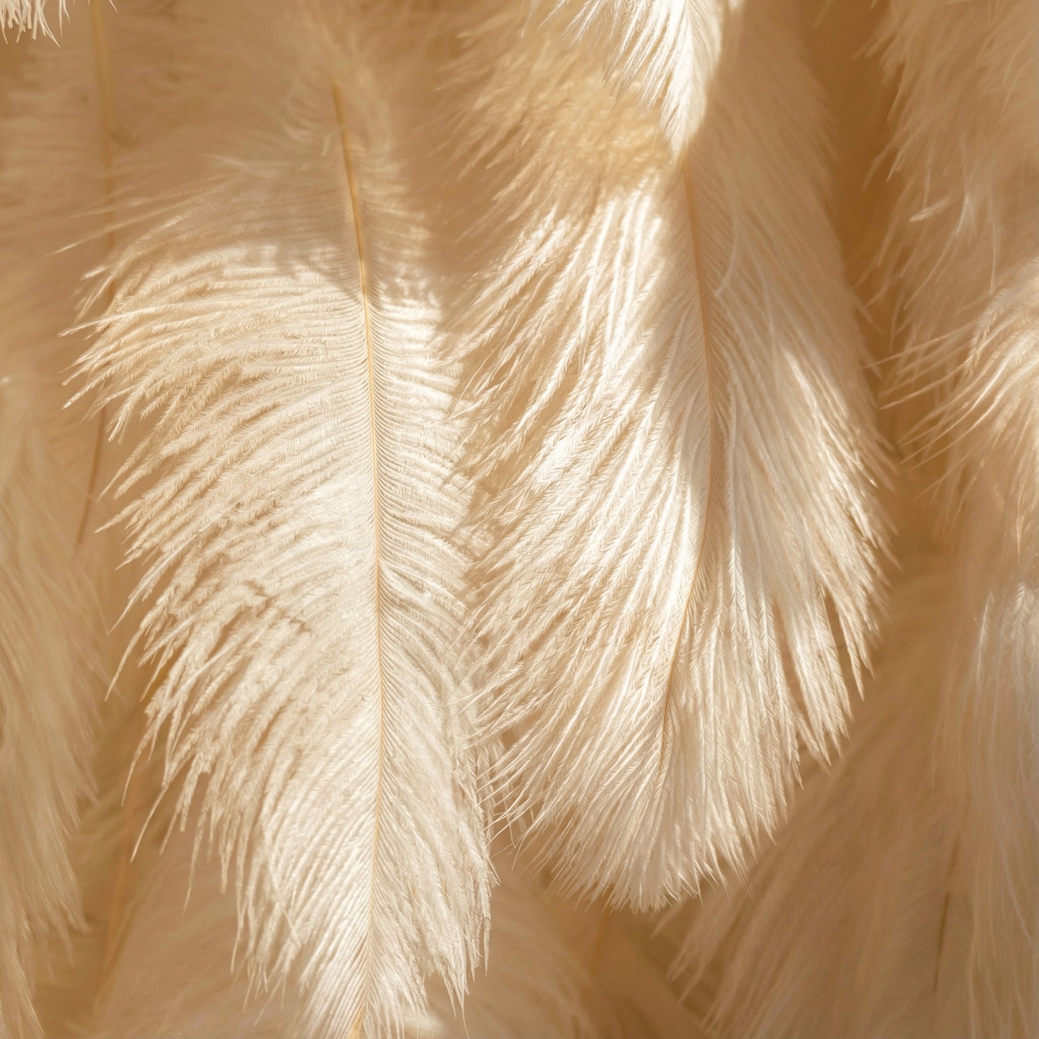 Champagne Beige Ostrich Feather Wall Backdrop - Roll-Up Fabric Wall - Bridal Party Decor - Wedding Venues Celebration Floral Wall-VF-964-4