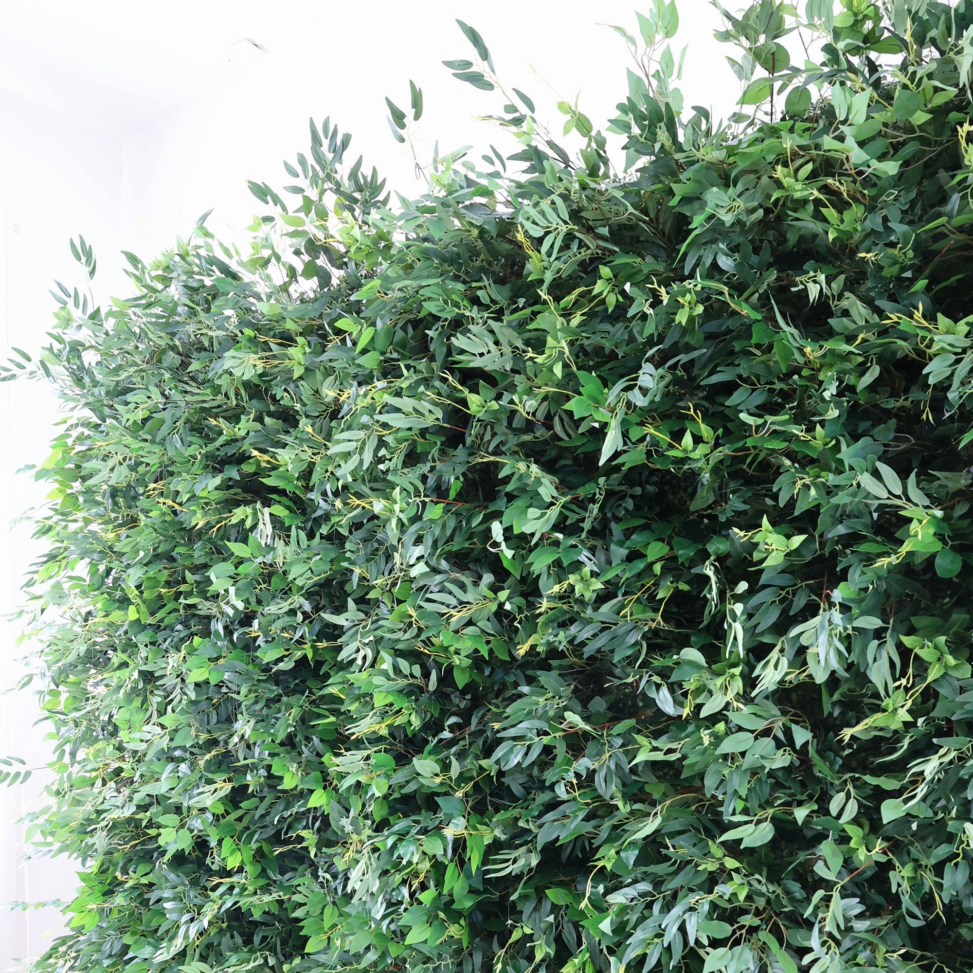 ValarFlower Lush Green Foliage Extravaganza Plant Wall: A Verdant Sanctuary for Nature-Inspired Events -VF-505