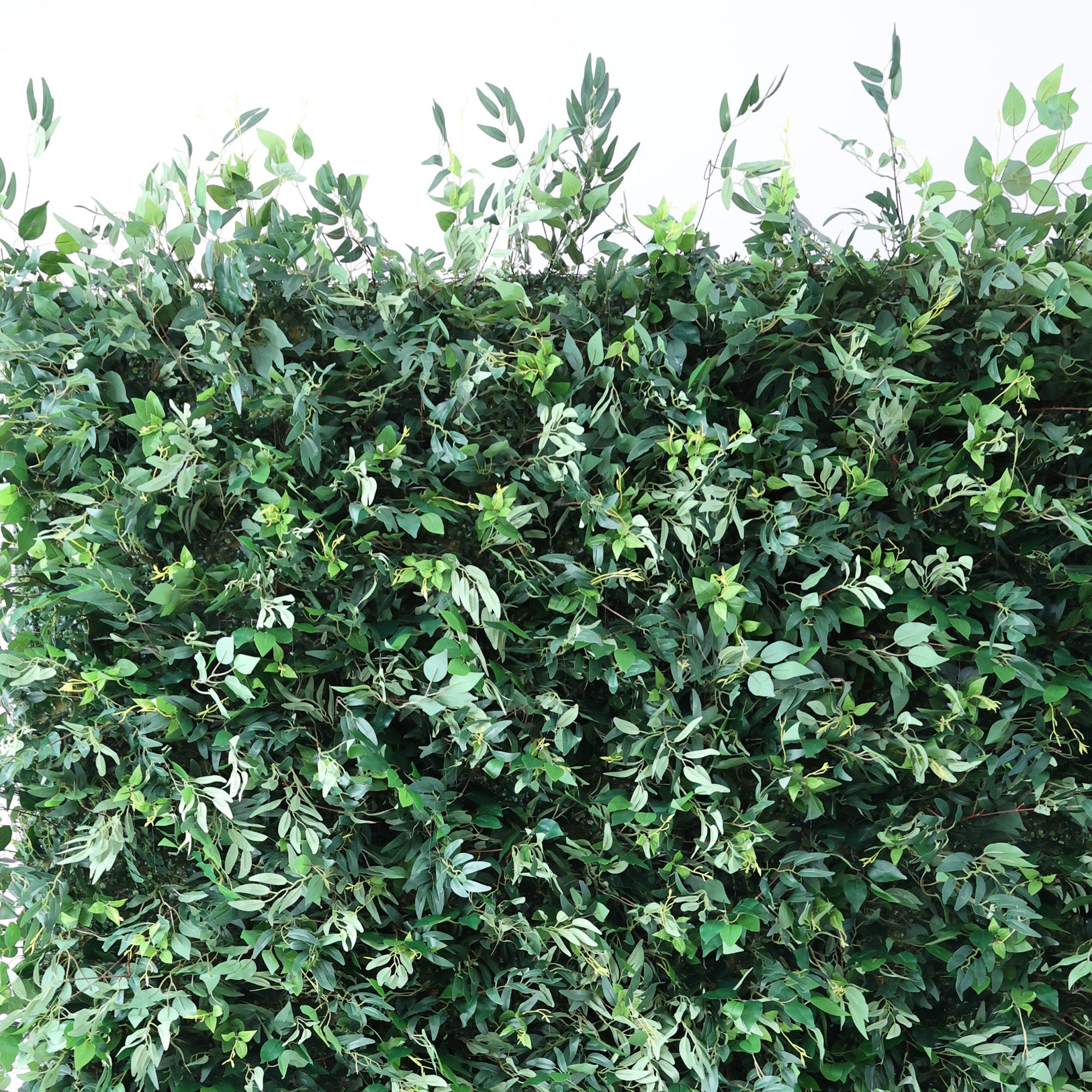 ValarFlower Lush Green Foliage Extravaganza Plant Wall: A Verdant Sanctuary for Nature-Inspired Events -VF-505