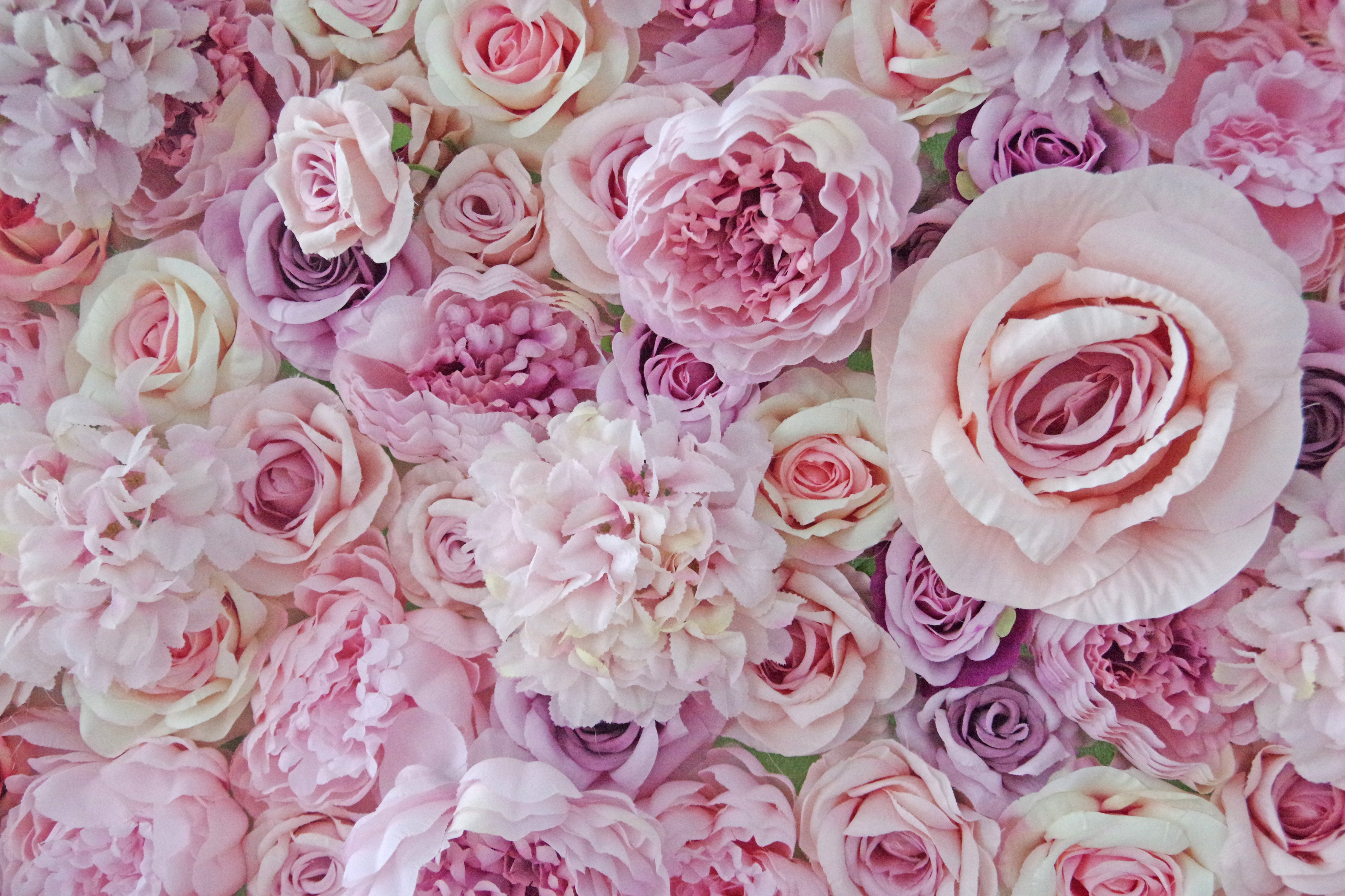 3D Pink Rose Roll-Up Flower Wall Backdrop for Wedding & Party Celebration Decor VF-048