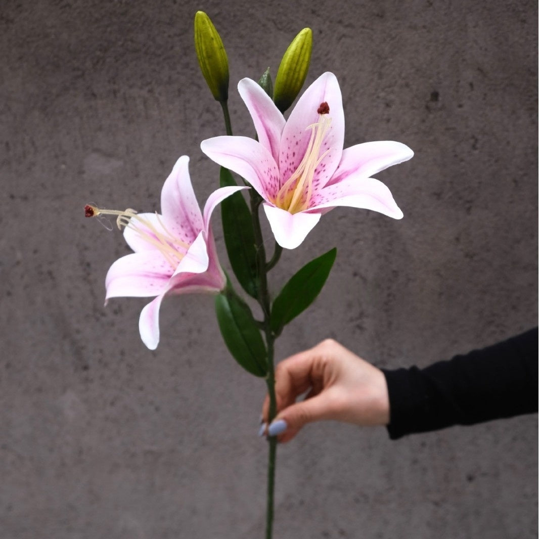 Multicolor Faux Lily Stem – Elegant Realistic Flower for Interior Styling & Floral Craft FS-1018