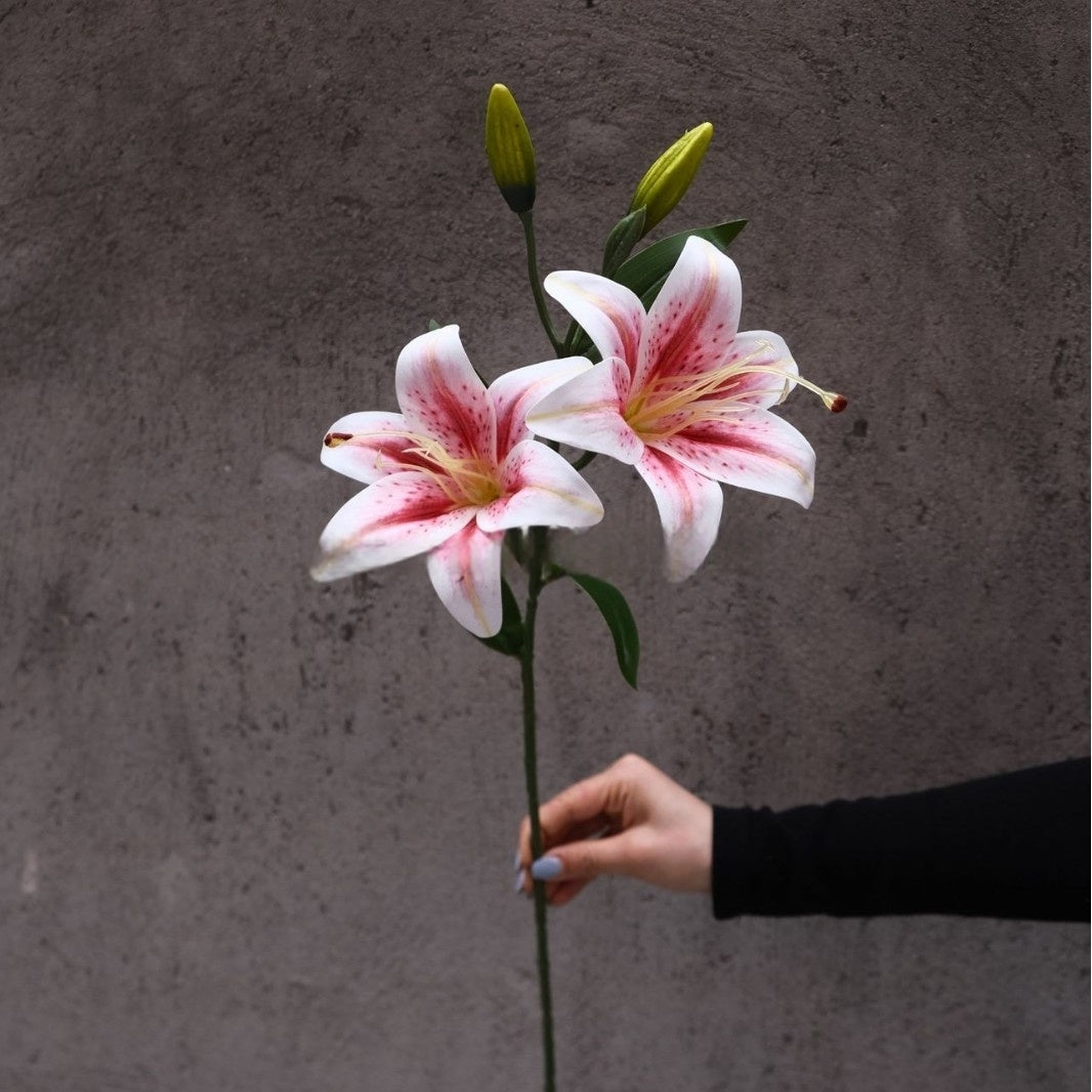 Multicolor Faux Lily Stem – Elegant Realistic Flower for Interior Styling & Floral Craft FS-1018