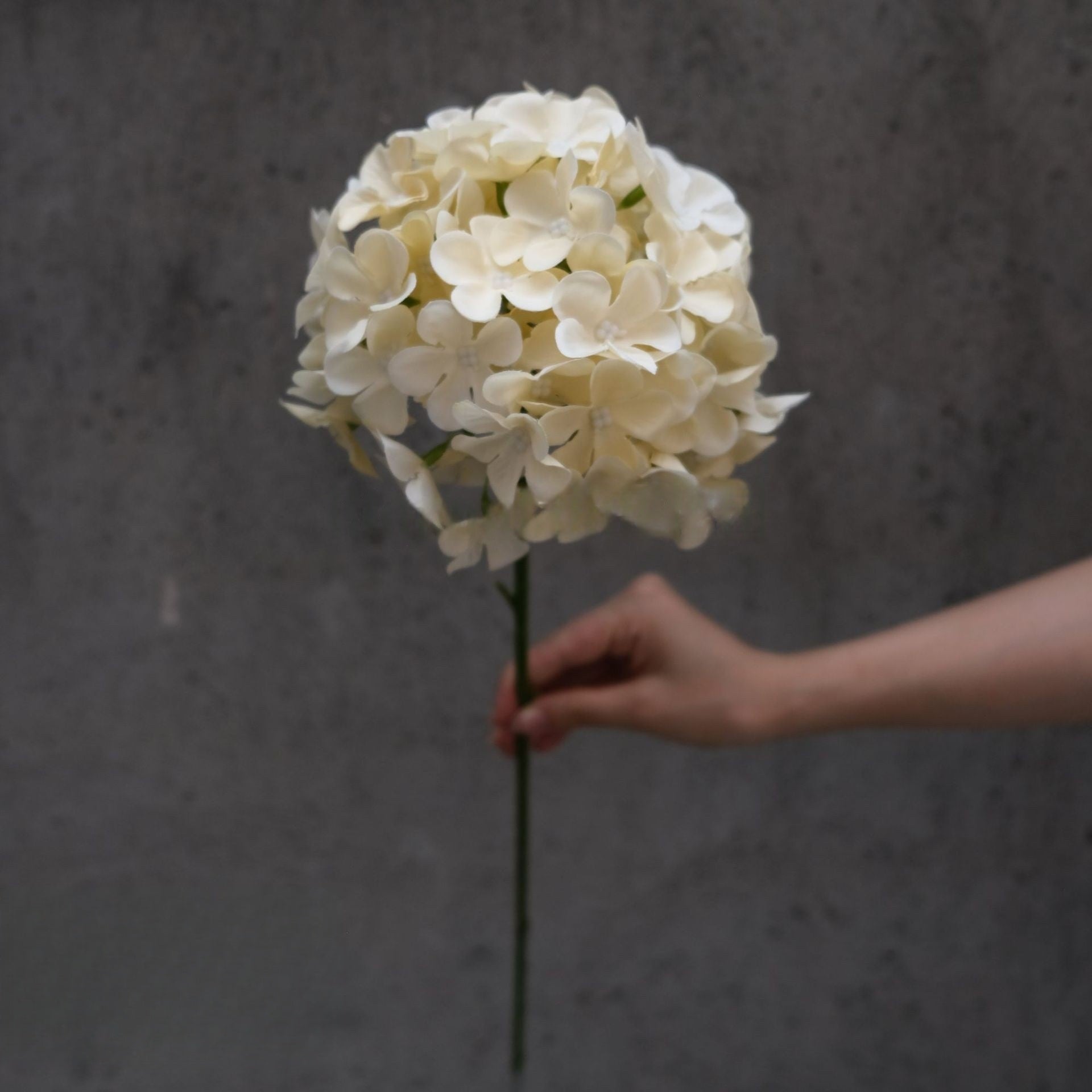 Conjunto de Flores Artificiales Negras y Rosas – Decoración Moderna para Fondo de Fiesta de Cumpleaños con Arreglo Floral Falso FA-255