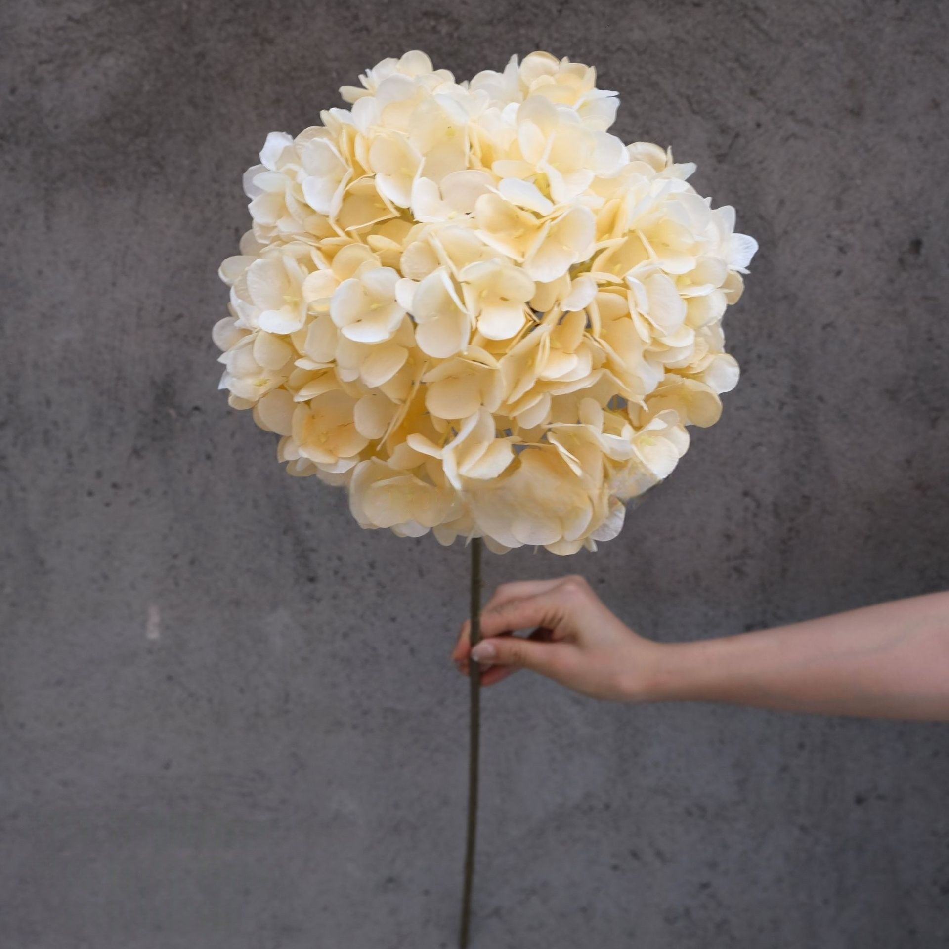 Conjunto de Flores Artificiales Negras y Rosas – Decoración Moderna para Fondo de Fiesta de Cumpleaños con Arreglo Floral Falso FA-255