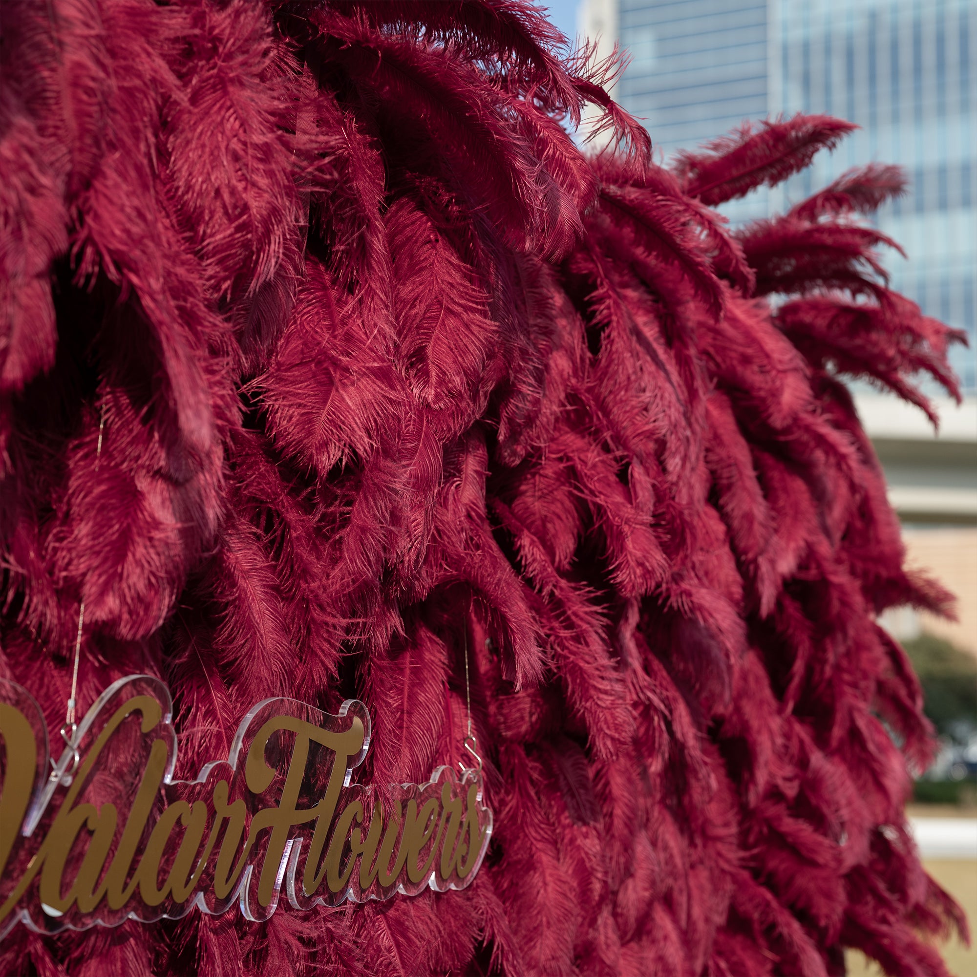 Burgundy Red Ostrich Feather Wall Backdrop - Roll-Up Fabric Wall - Bridal Party Decor - Wedding Venues Celebration Floral Wall-VF-964-5