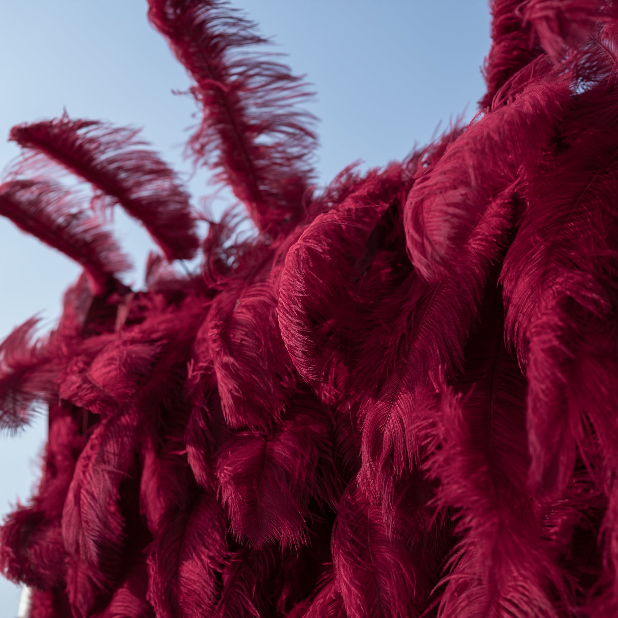 Burgundy Red Ostrich Feather Wall Backdrop - Roll-Up Fabric Wall - Bridal Party Decor - Wedding Venues Celebration Floral Wall-VF-964-5