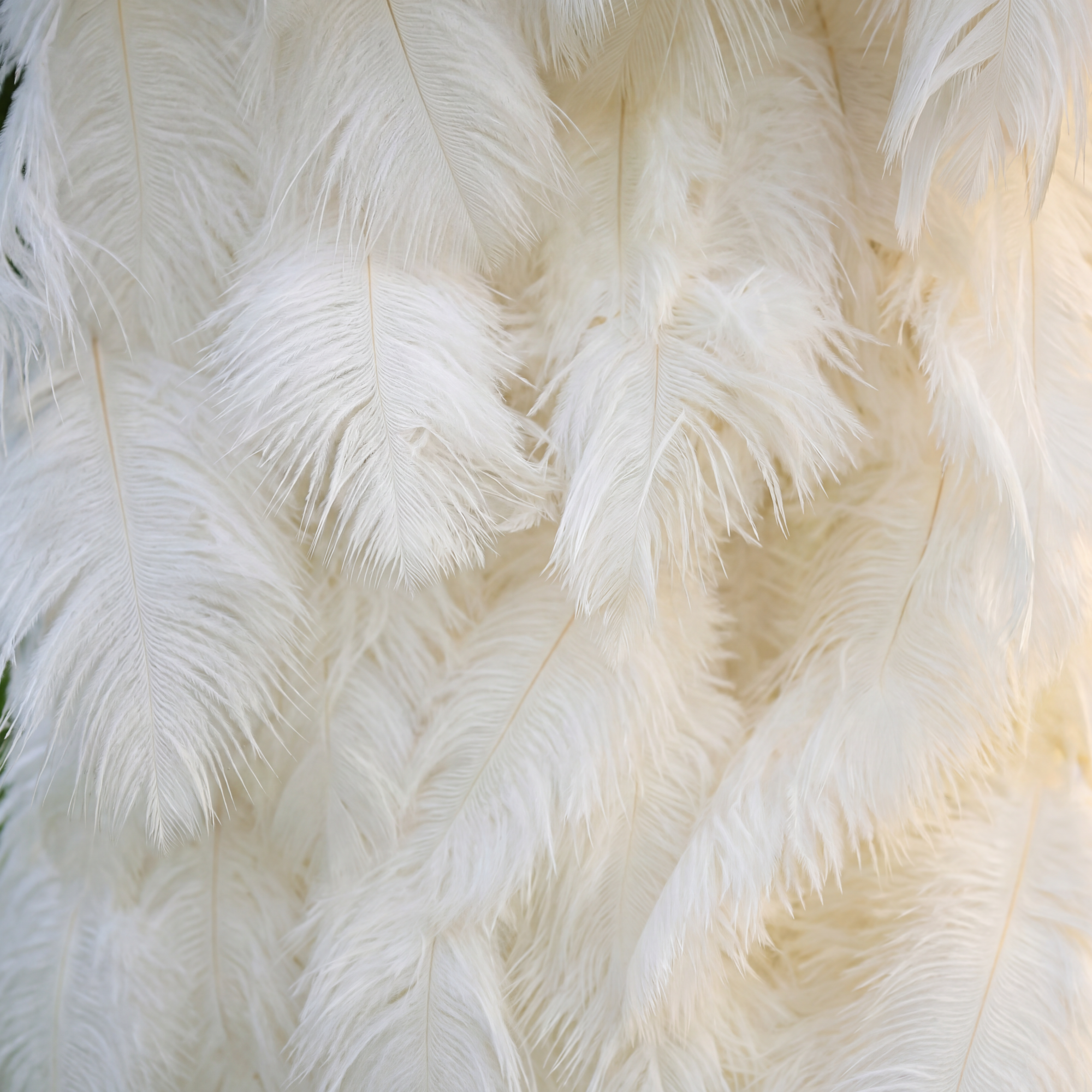 ValarFlower Elegant White Ostrich Feather Wall Backdrop Roll-Up Fabric Design VF-164S