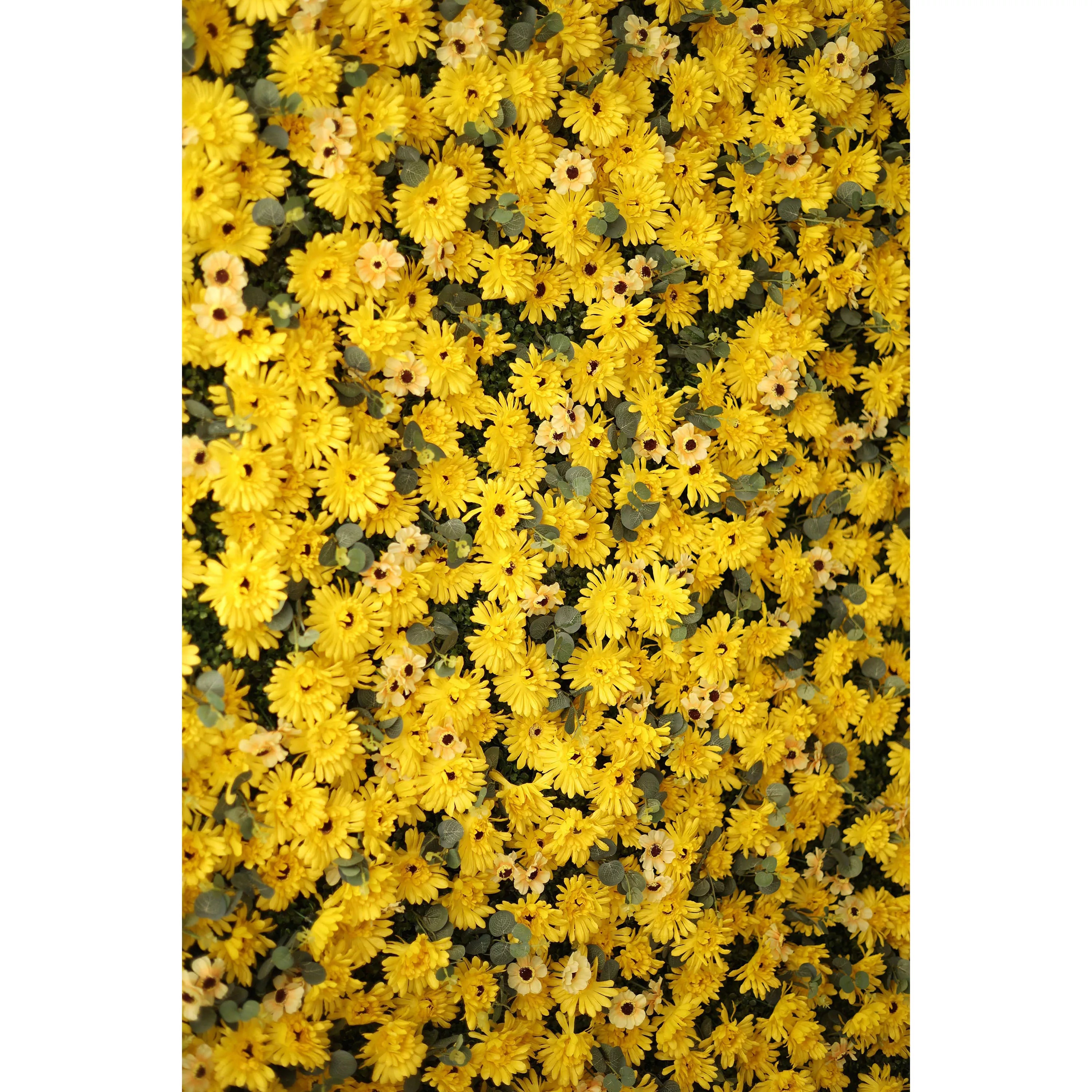 Valar Flowers Roll Up Fabric Artificial Burnt Yellow Euryops Pectinatus  Flower Wall Wedding Backdrop, Floral Party Decor, Event Photography-VF-069