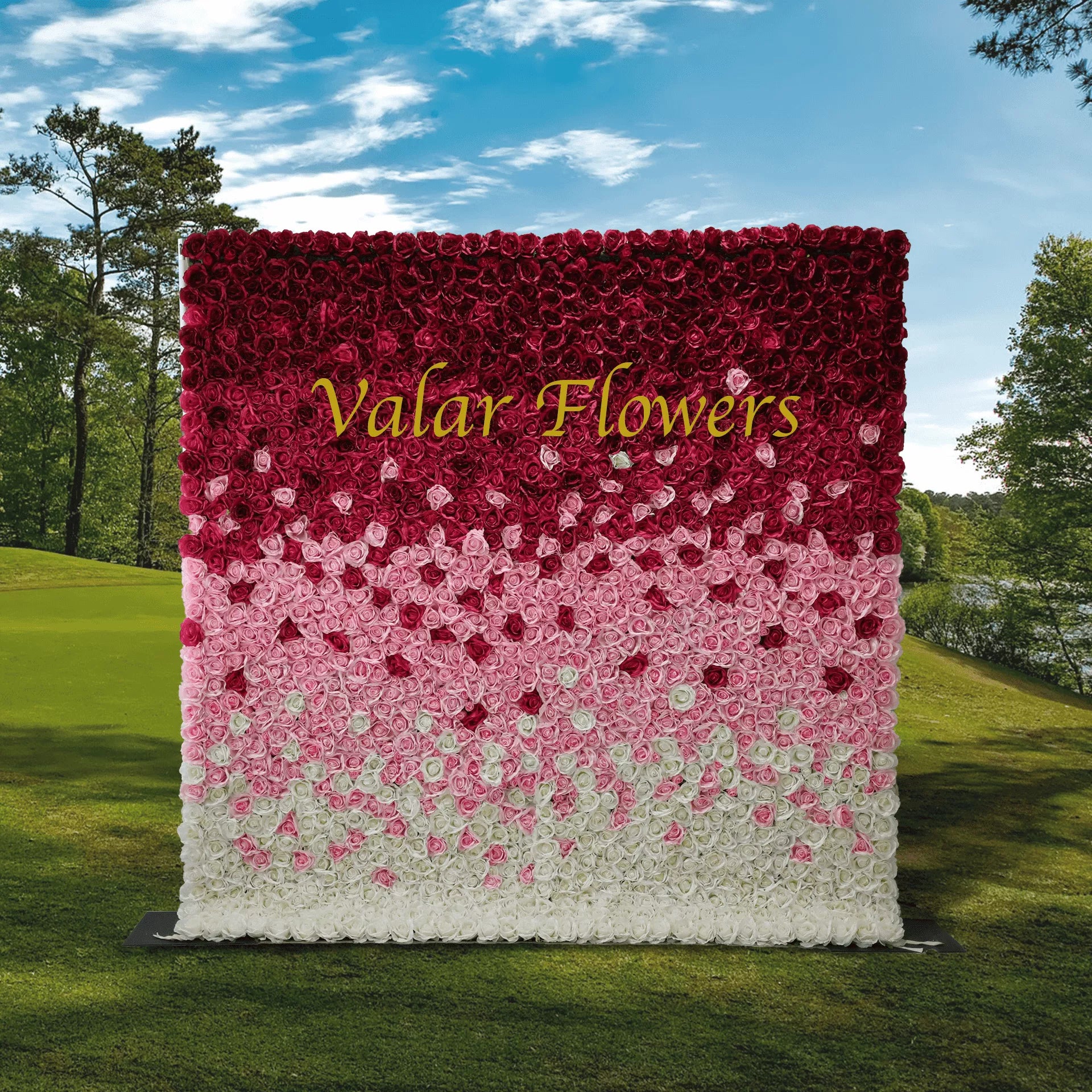 Valar Flowers fabric flower wall with artificial gradient from wine to white, ideal for wedding backdrop, floral party decor, and event photography0